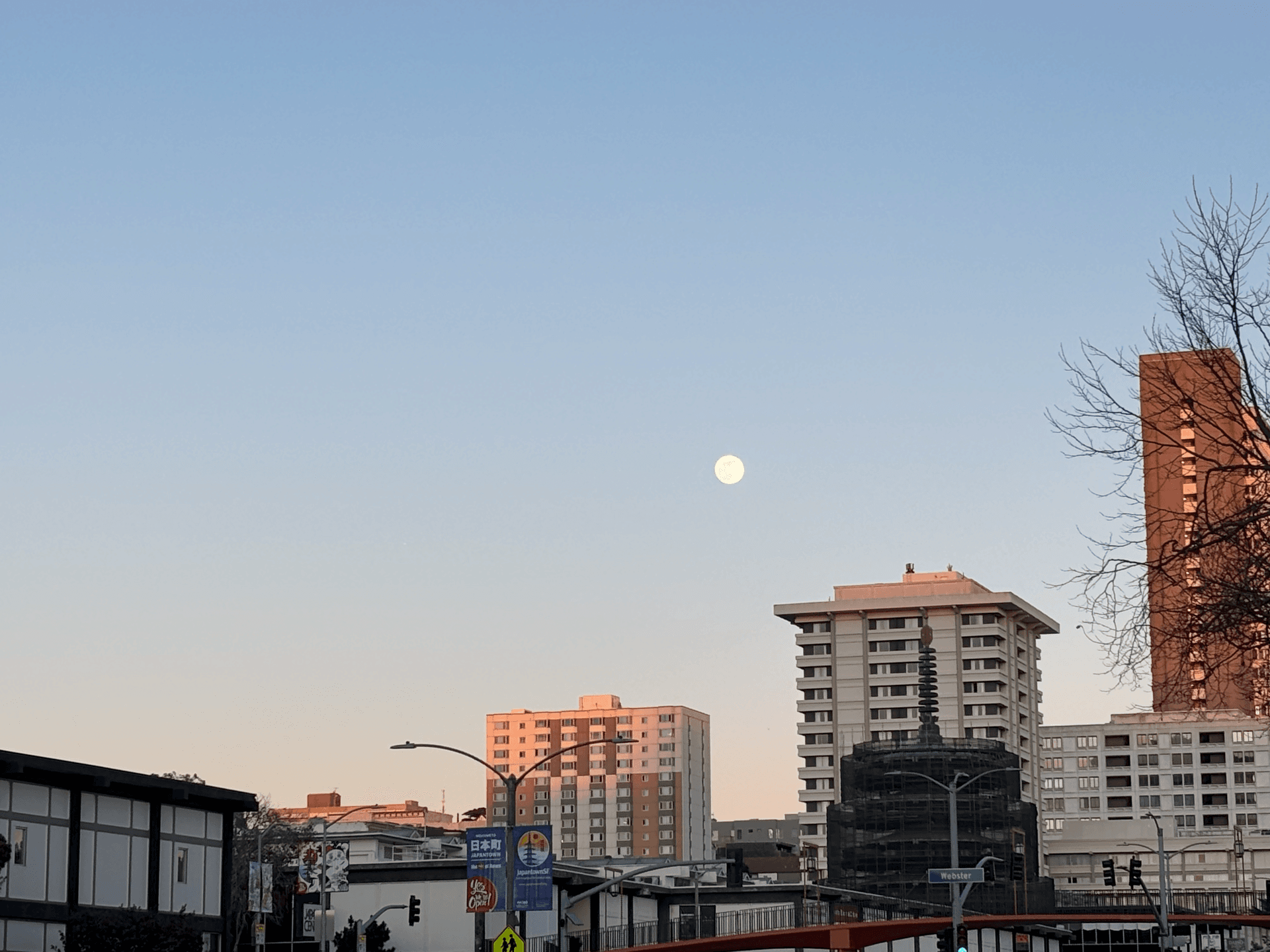 View of the moon