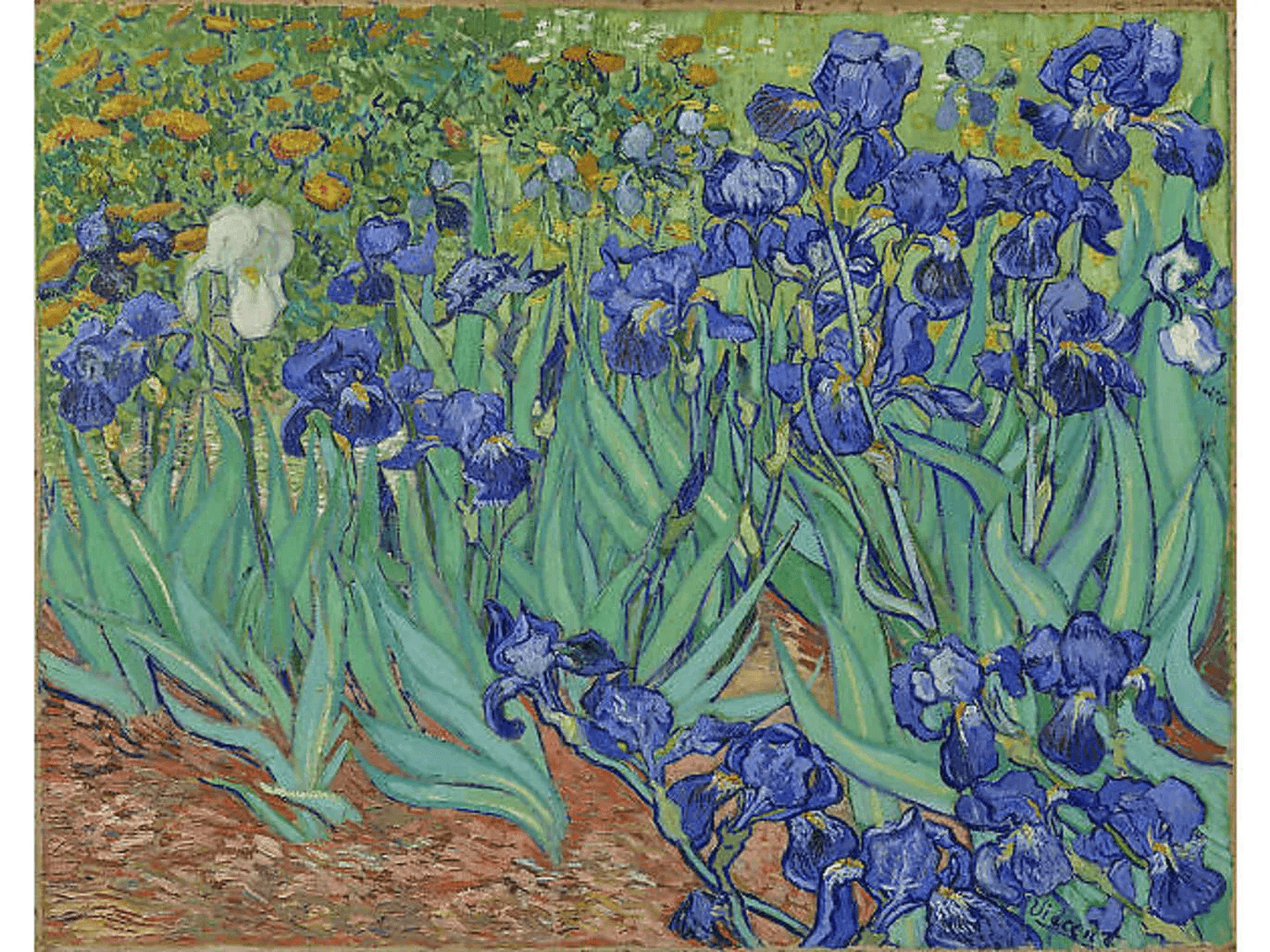 Irises, 1889