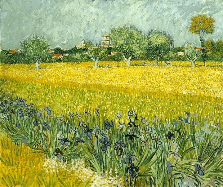 View of Arles with Irises in the Foreground, 1888